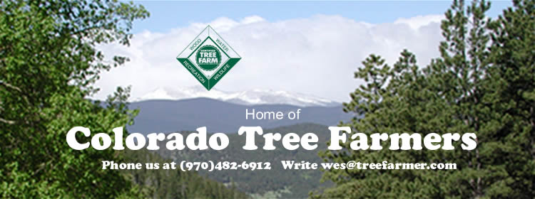 Tree Farm Email